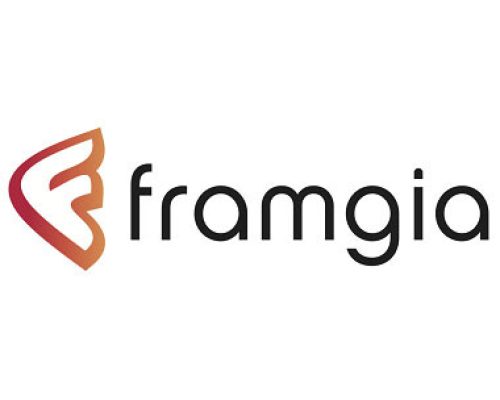 Klant Framgia -Leadgeneratie voor Framgia